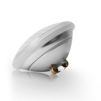 LED-Pool-Licht PAR56 OEM/ODM 18/24/35 W